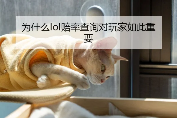 为什么lol赔率查询对玩家如此重要
